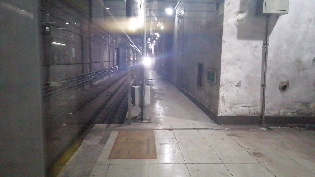 上海地铁8号线(往东方体育中心方向(小交路))陆家浜路站进站