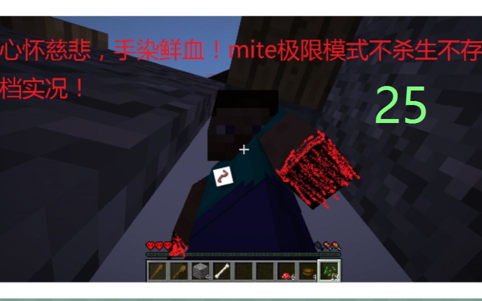 mite—25—极限生存不杀生不存档哔哩哔哩bilibili