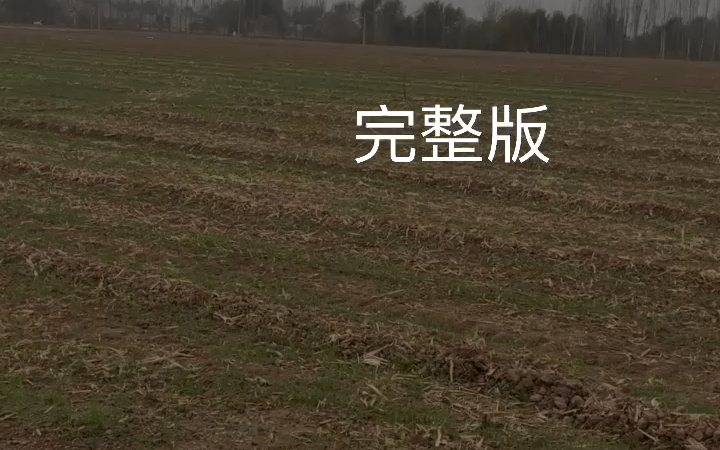 [图]经典歌曲《相伴一生》