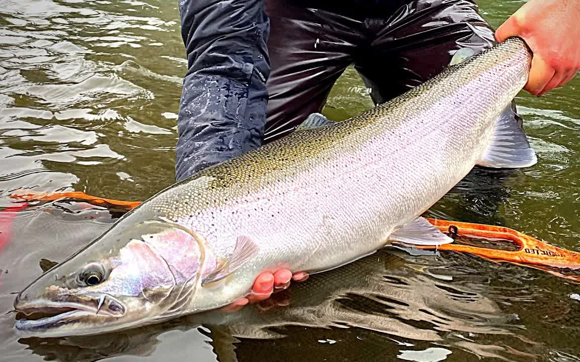 【列夫钓鱼秘诀】冬季钓大鳟鱼