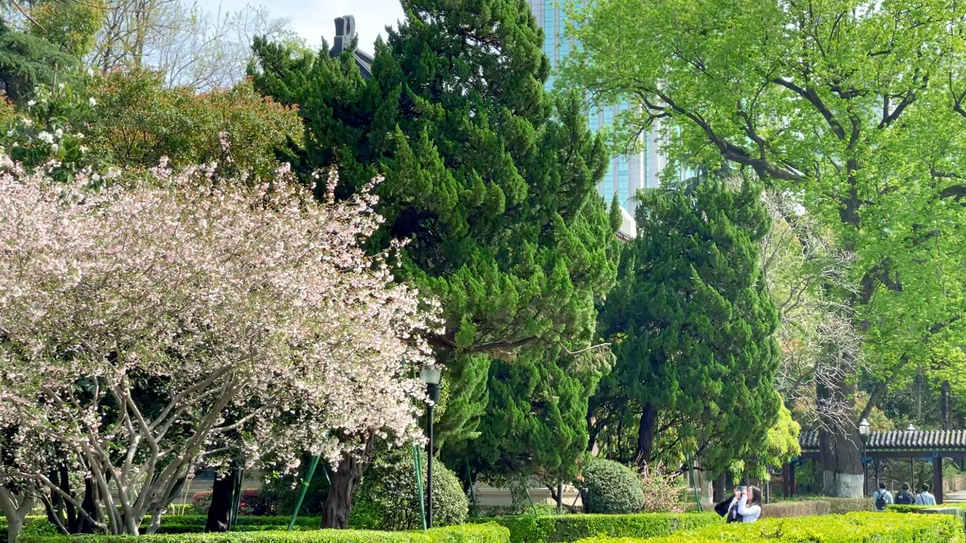 [图]随园之春｜南京师范大学