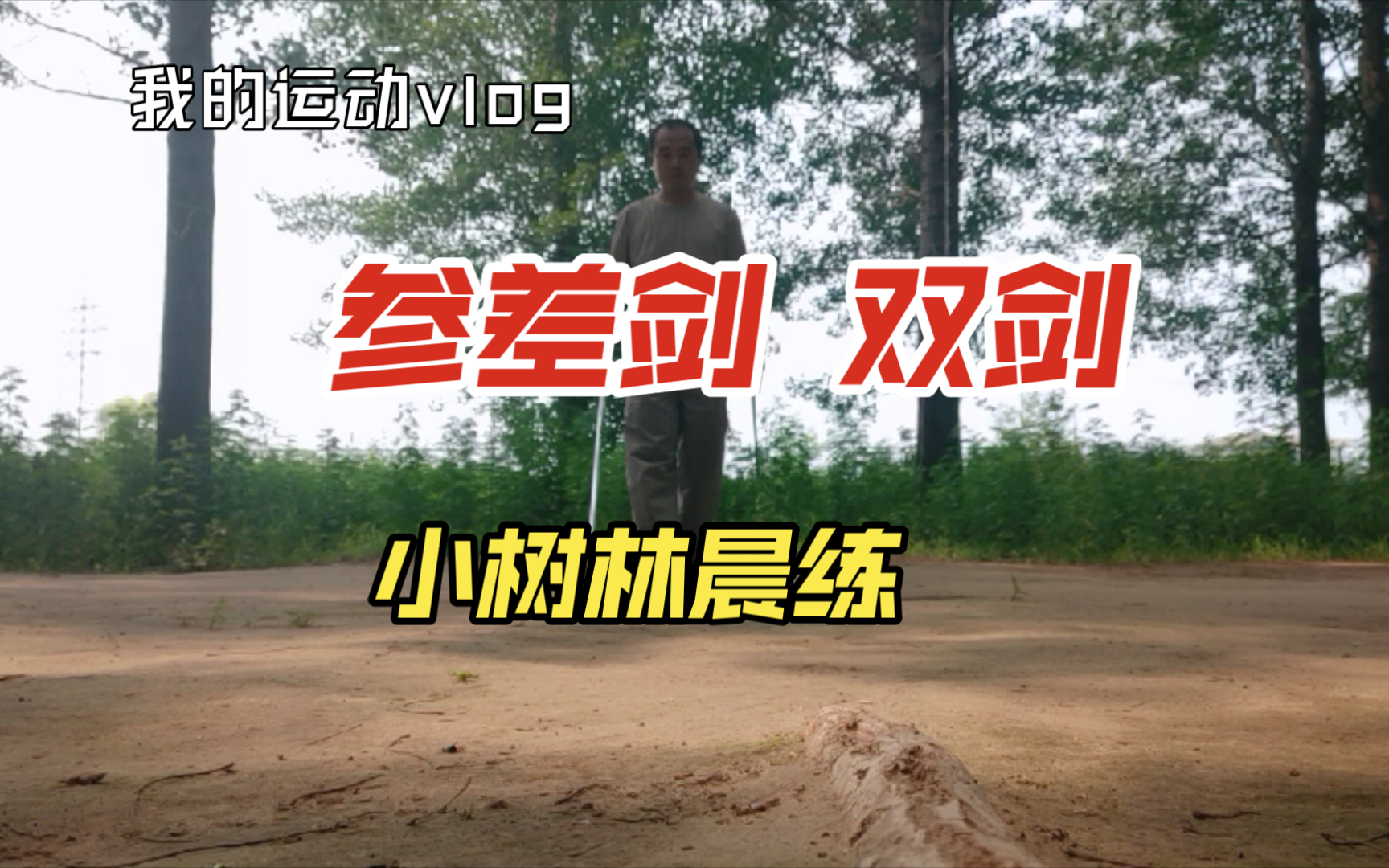 参差剑 双剑 小树林晨练