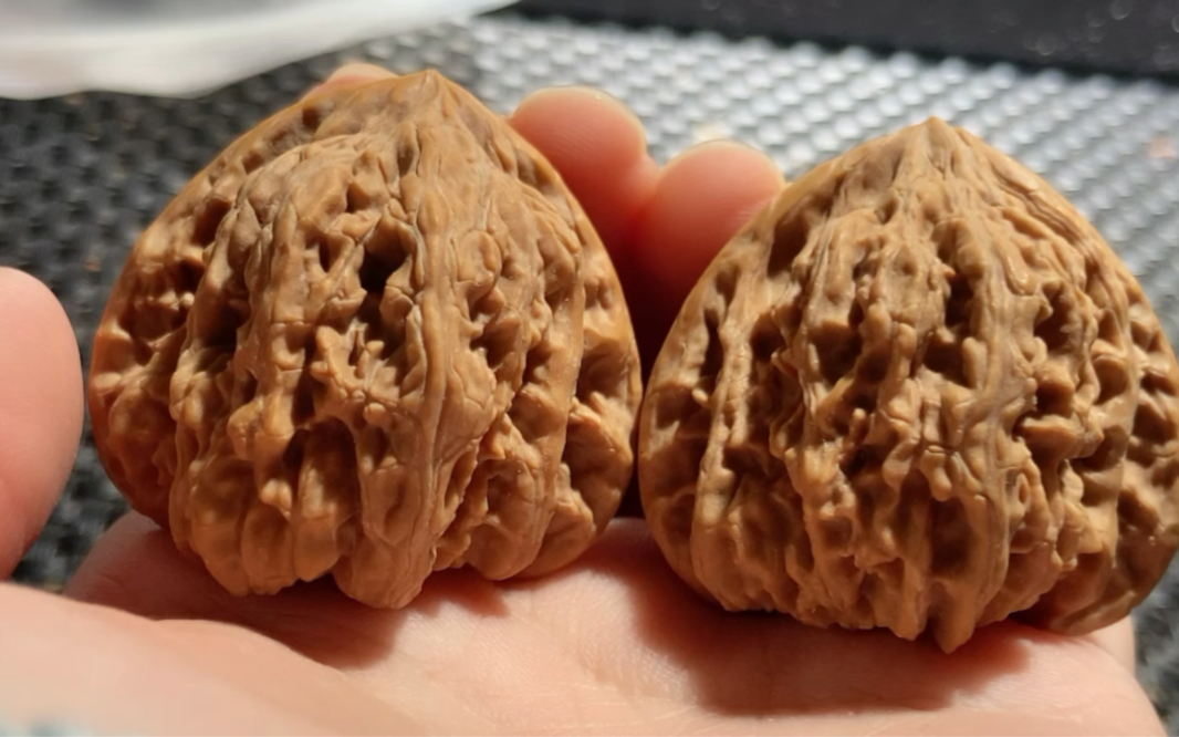 0212号,3,8的密纹狮子头骨质超硬99米