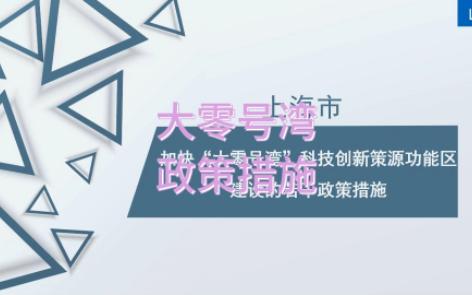 上海市关于加快“大零号湾”科技创新策源功能区建设的若干政策措施 九哔哩哔哩bilibili