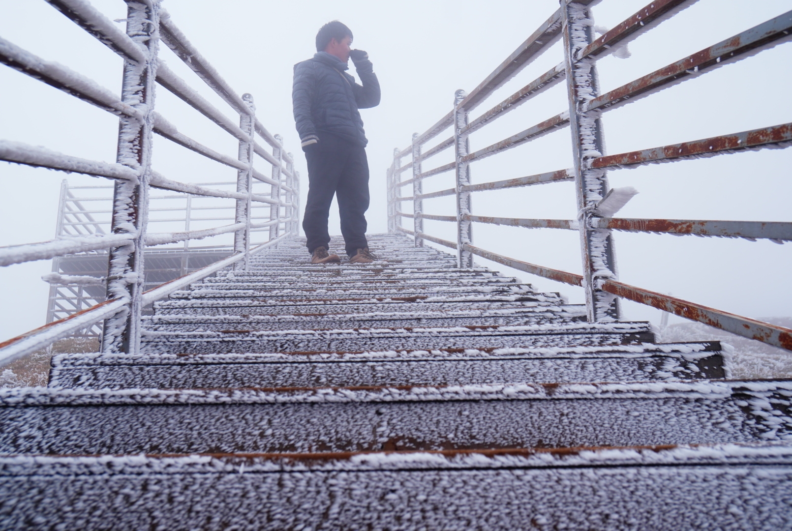 今天 从海拔2000米徒步登上海拔2663米的高山(磨豆山) 只为欣赏那一抹