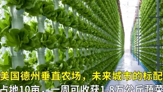 美国现代化垂直农场，占地10亩，一周可收获1.8万公斤蔬菜！