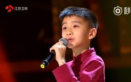10岁小选手王泓翔演唱《梨花颂》被人民日报转发