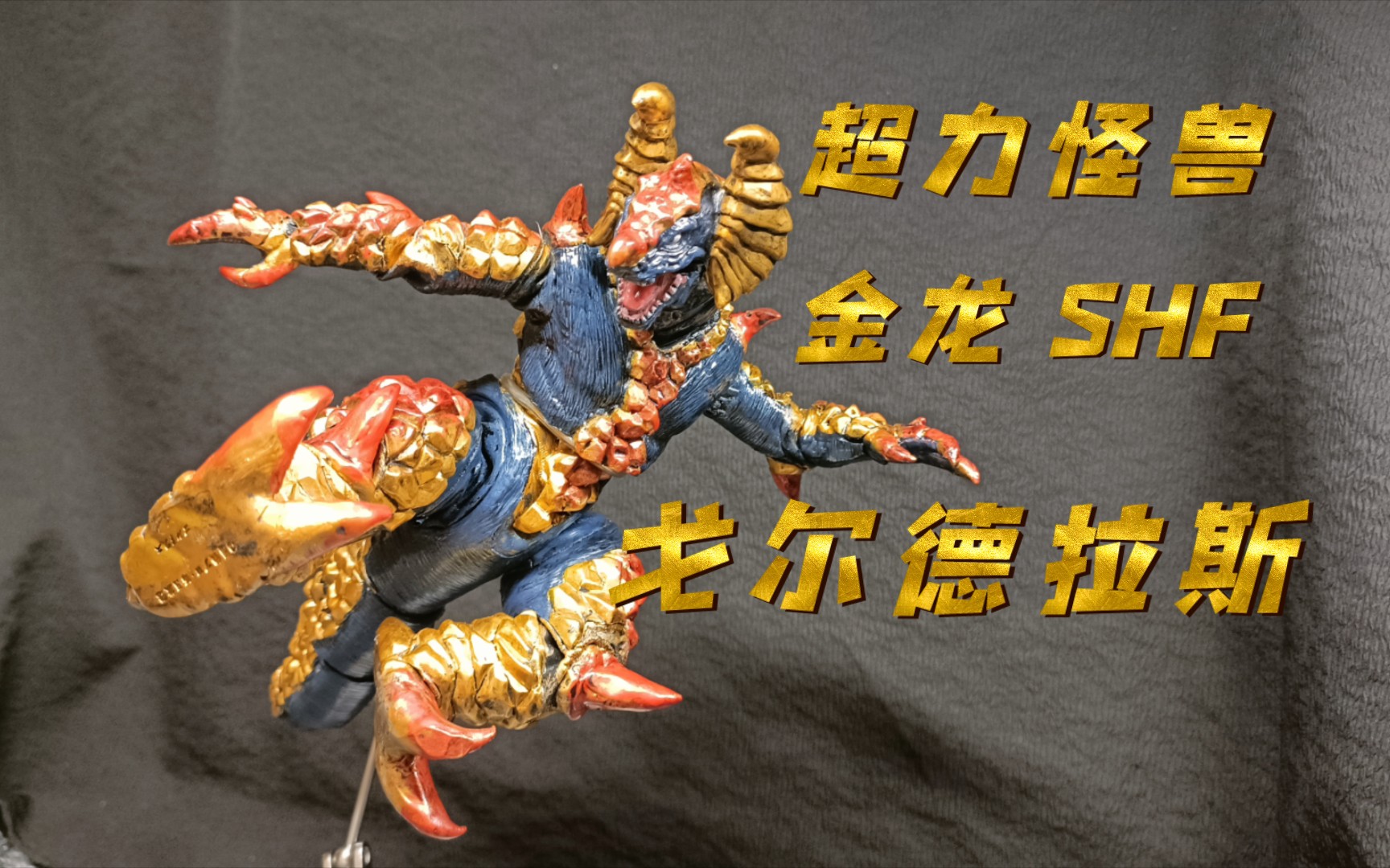 能做骑士踢的金龙见过吗 超力怪兽 戈尔德拉斯shf 金龙 万代17软胶自
