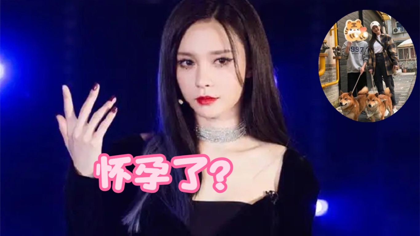 怀孕了?偶遇沈梦辰牵狗遛弯,小腹凸起身材圆润孕味足