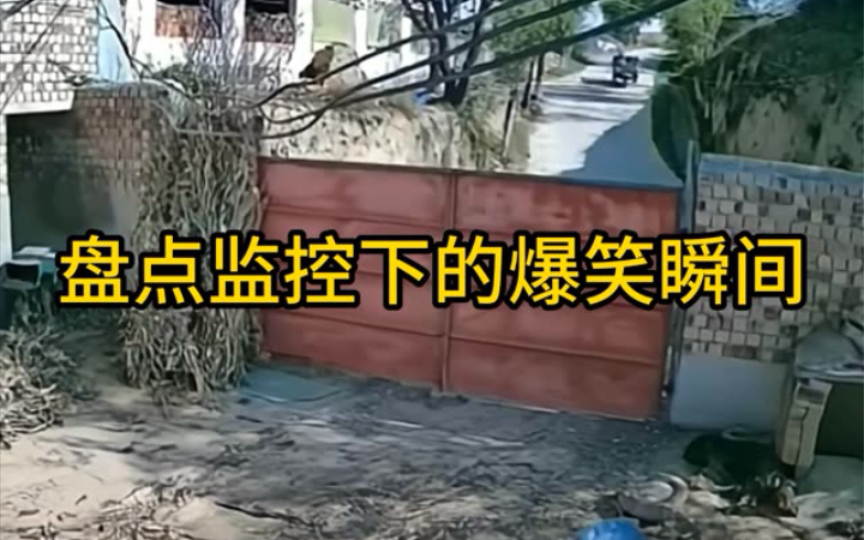 [图]第3集｜盘点监控下的爆笑瞬间#搞笑