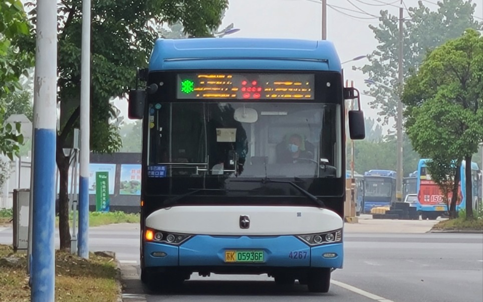 扬州公交公司图片图片