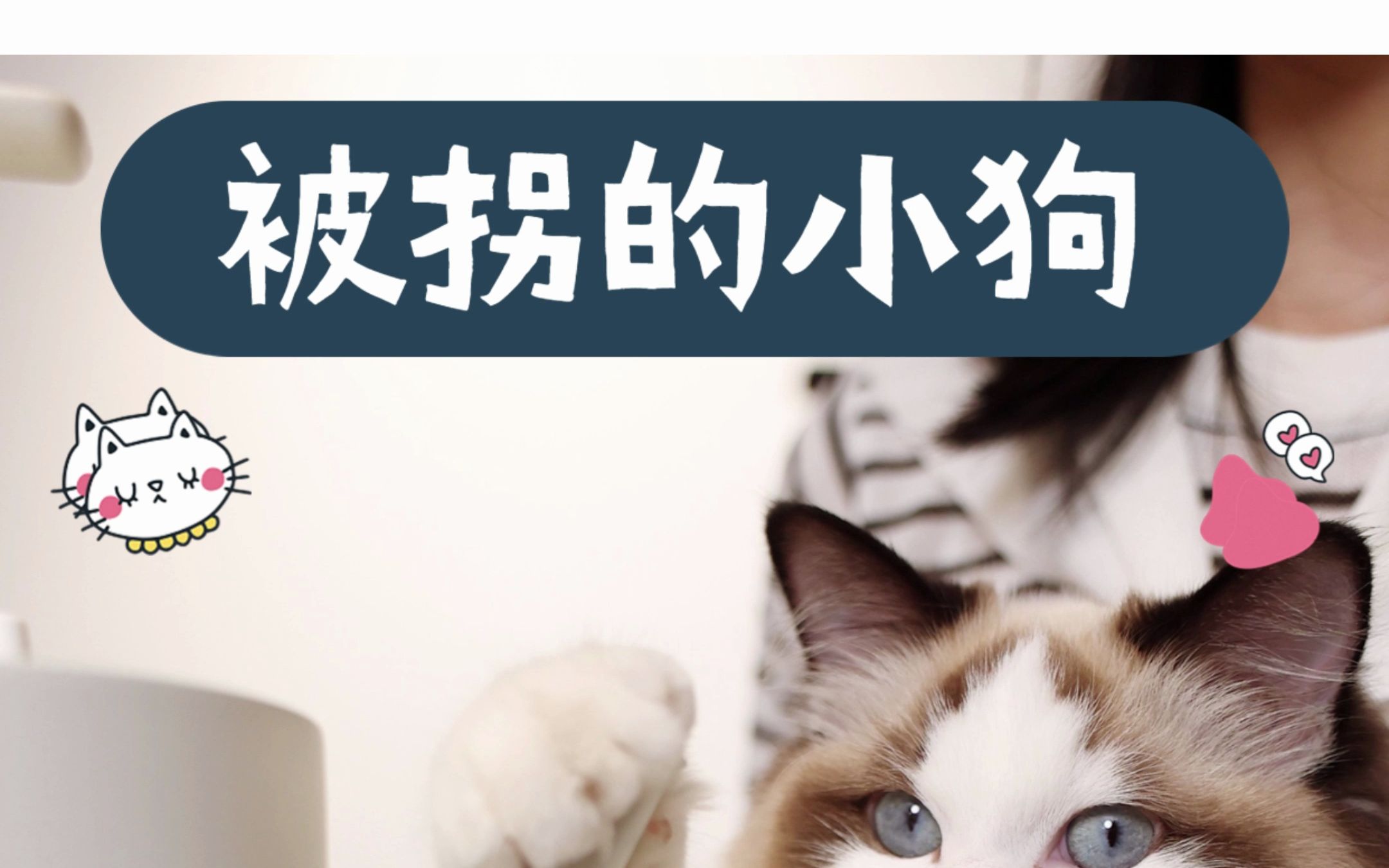 偷狗贼越来越猖狂,大家一定要注意!哔哩哔哩bilibili