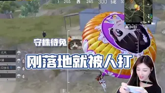 和平精英柔柔：啊这？刚上飞艇就被击倒，刚下飞艇就被击杀！