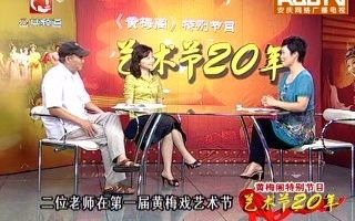 第一届安庆黄梅戏艺术节集锦哔哩哔哩bilibili