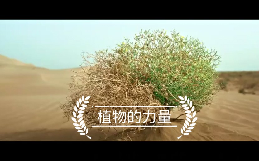 纽崔莱大片-植物的力量_哔哩哔哩_bilibili