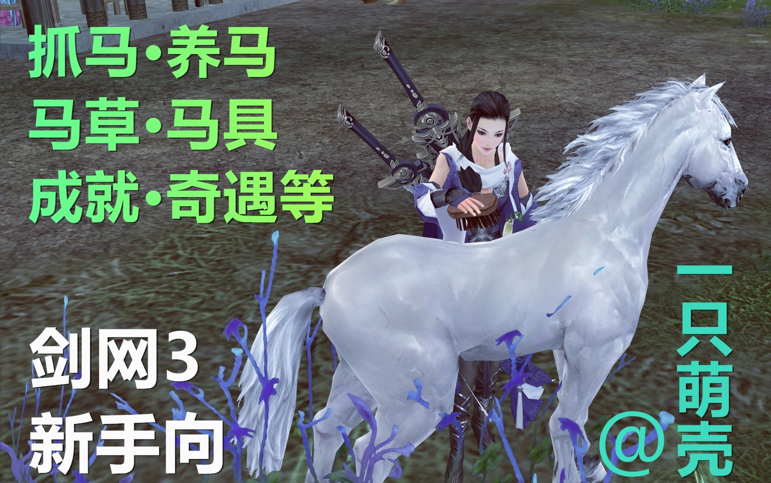 【剑侠情缘三】 抓马 · 养马 · 马草 · 坐骑 · 马具 ·成就
