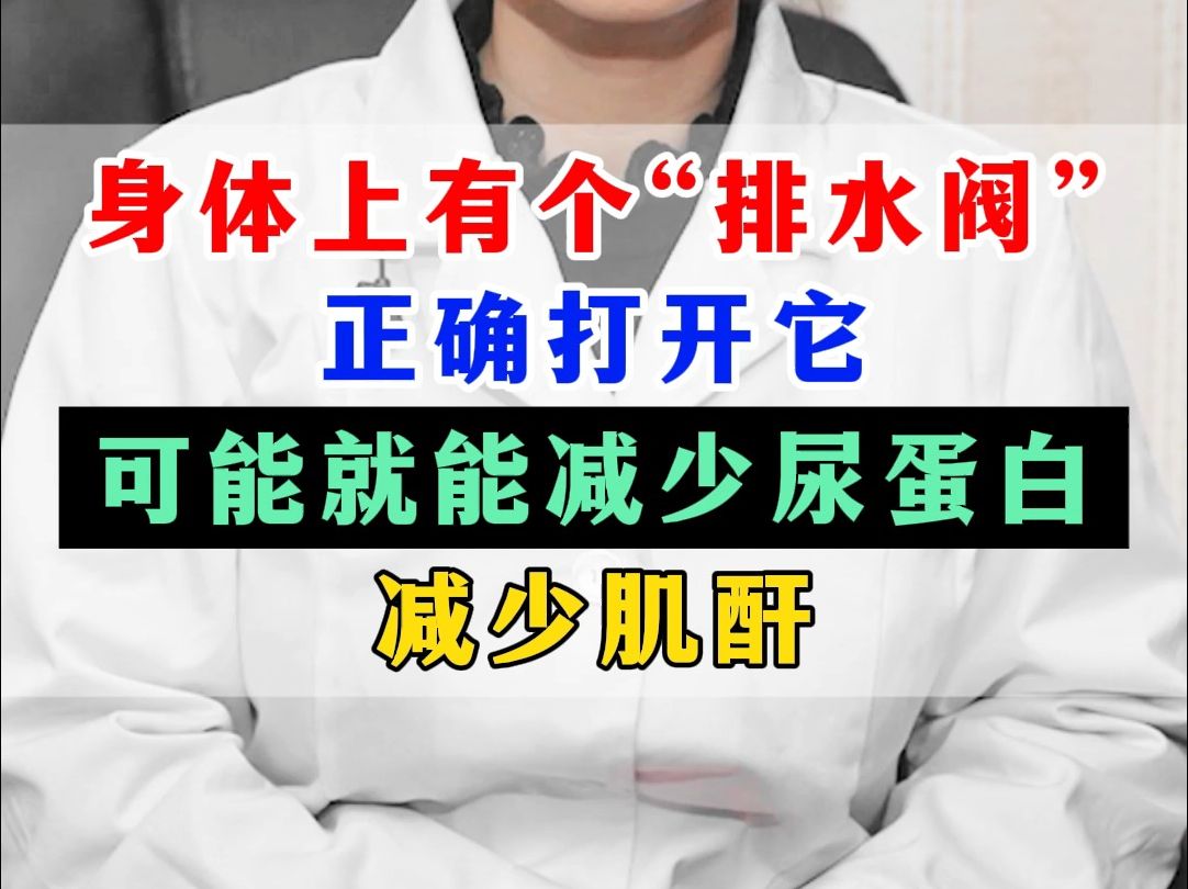 身体上有个"排水阀",正确打开它,就能减少肌酐高,蛋白尿