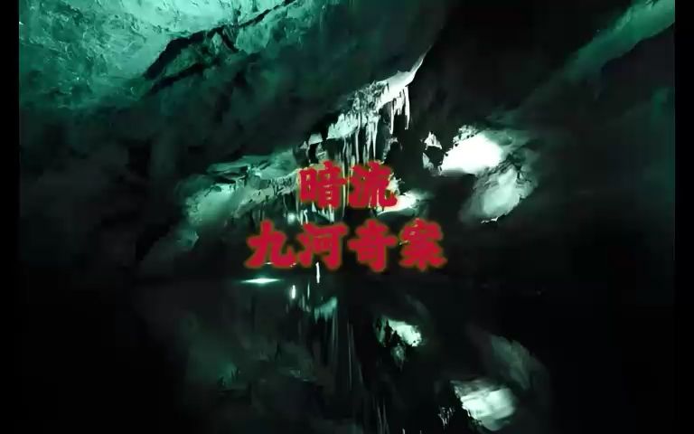 有声小说《暗流:九河奇案》丨周建龙演播丨探案奇闻三大队狂飙丨拯救书荒哔哩哔哩bilibili