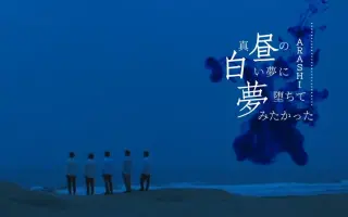 Aimer白昼梦 搜索结果 哔哩哔哩 Bilibili