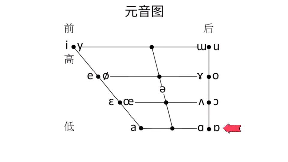 【01】一起学国际音标(舌面元音)哔哩哔哩bilibili