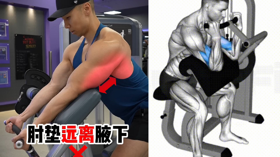 器械二头弯举常见错误