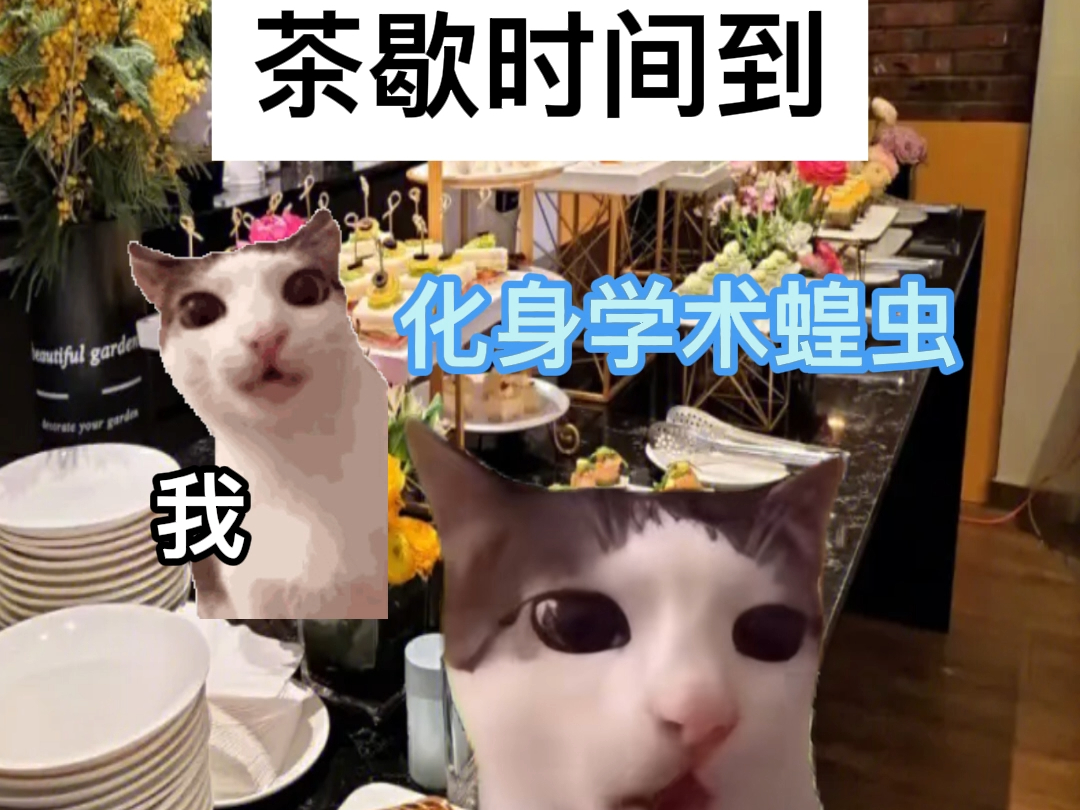 当我和导师参加学术会议哔哩哔哩bilibili