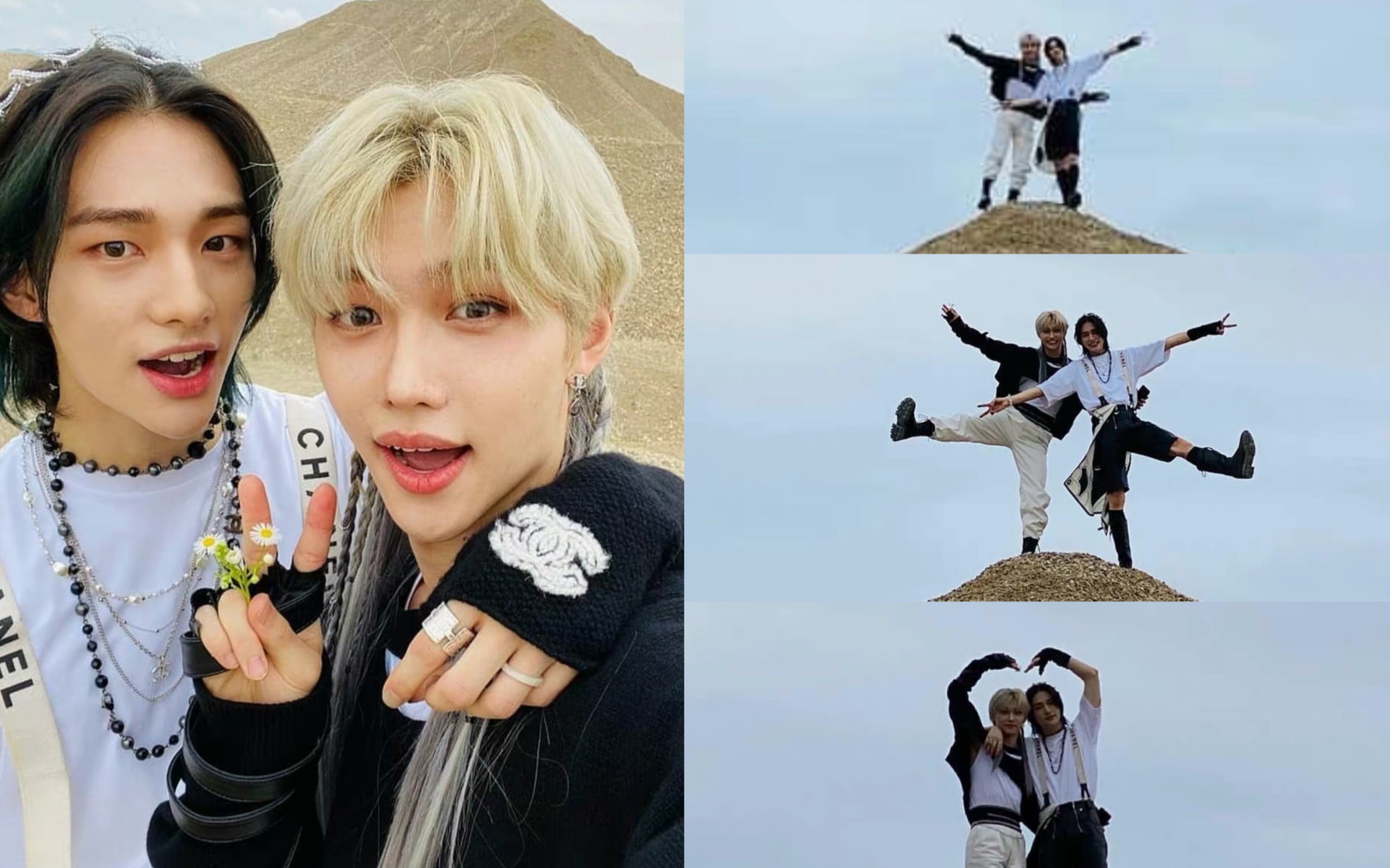 谁还没看过这组可可爱爱的辰菲图?