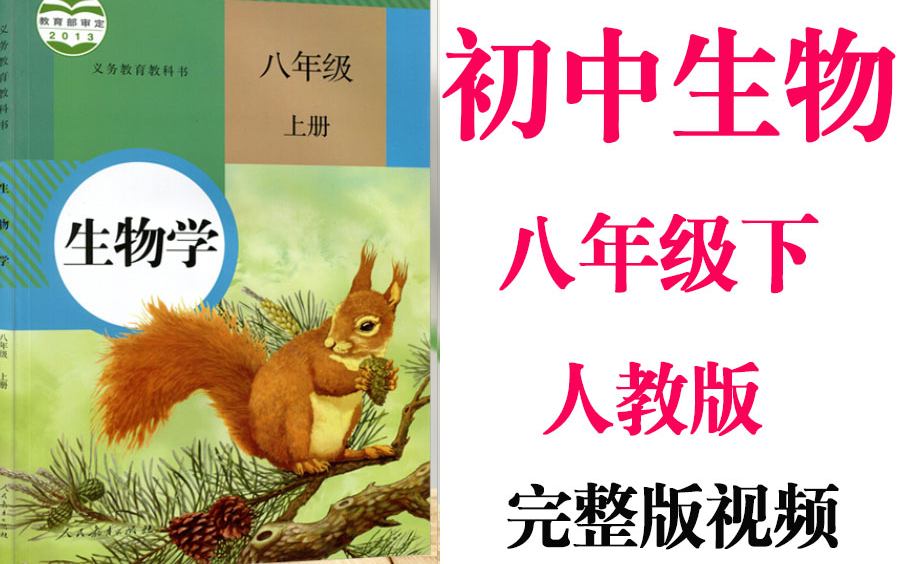 【初中生物】初二 八年级上册同步基础教材教学网课丨人教版 部编 统编 新课标 上下册初2 8年级丨2021重点学习完整版最新视频哔哩哔哩bilibili