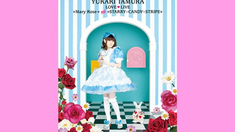 田村ゆかりLOVE ♥ LIVE 2011 SPRING ＊Mary Rose＊_哔哩哔哩_bilibili