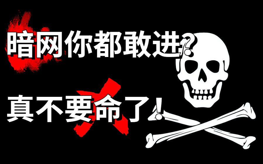 【为什么不建议你去暗网?】本视频提供网络安全/信息安全/渗透测试/黑客攻防/ddos攻击/web安全教学哔哩哔哩bilibili