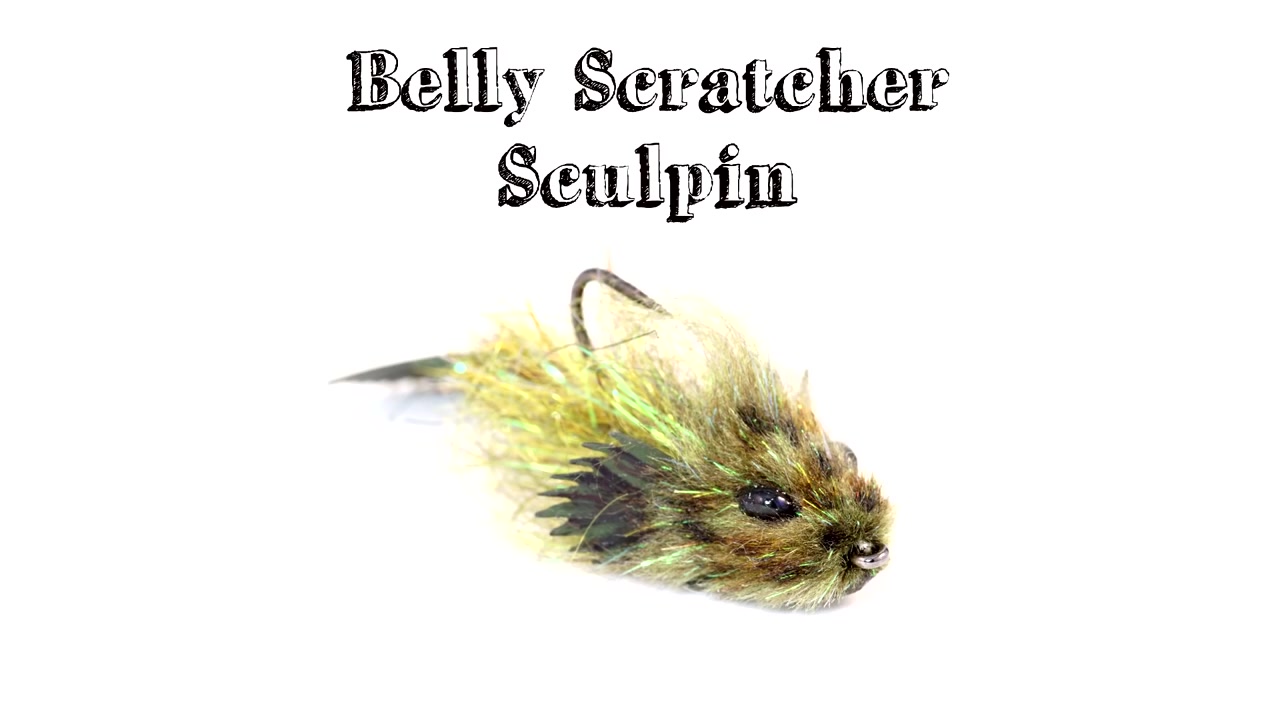 bellyscratchersculpin