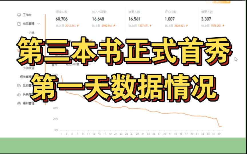 番茄小说第三本书写作分享(13)正式首秀第一天日收破千哔哩哔哩bilibili