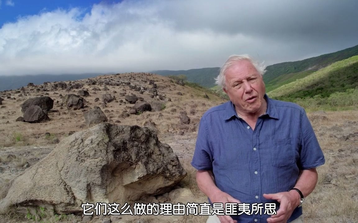 [图]中文字幕《与大卫爱登堡畅游加拉帕戈斯群岛 Galapagos with David Attenborough 》全三集