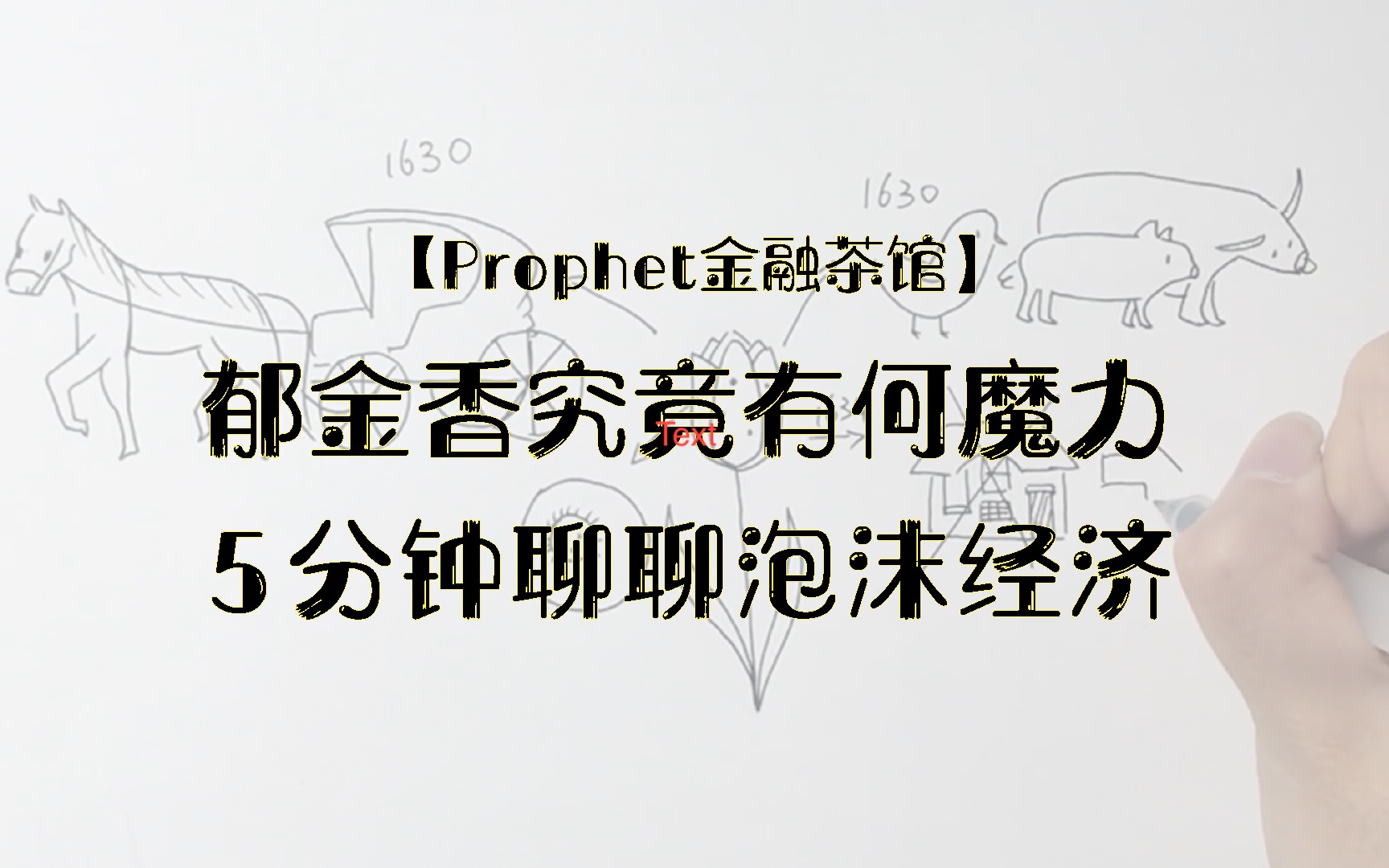 【Prophet金融茶馆】谈泡沫经济:郁金香究竟有何魔力?|手绘|高中生自制哔哩哔哩bilibili