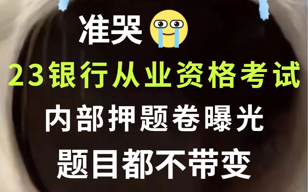 23银行从业资格考试 最新内部押题卷大曝光!押中率200% 原题直出 考试见一题秒一题!6月34日银行从业资格统考银行业法律法规与综合能力个人贷款个...