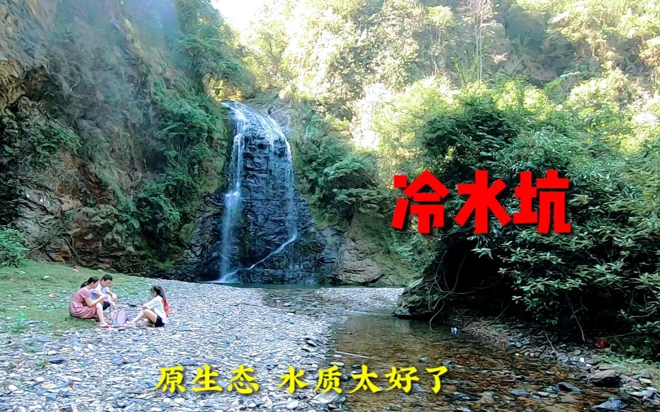 遂川冷水坑,免费的原生态景点,水质太好了!哔哩哔哩bilibili