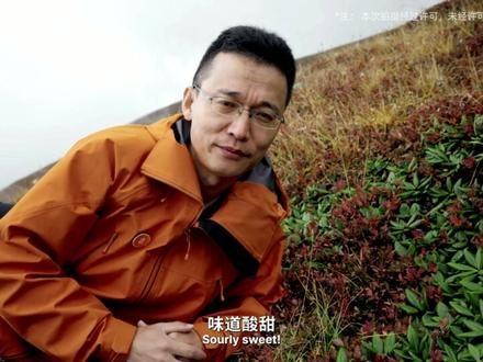 【南翔见证长白山云顶天宫建造】 真有云顶天宫!长白山,到底藏着多少秘密? 天池哔哩哔哩bilibili