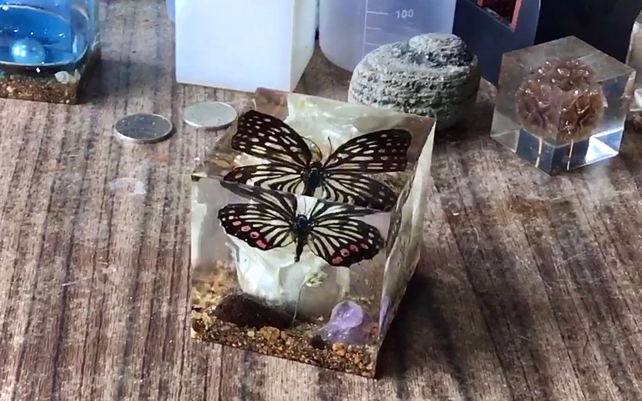 活动  【树脂艺术品】当蝴蝶遇上花朵,永恒凝固的美好瞬间,送给最美的