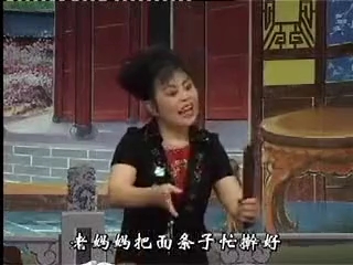 [图]【河南坠子】五子传-赵玄征西(九集全)