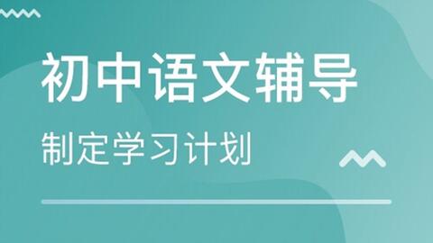 互联网时代的英语学习：网课的机遇与挑战