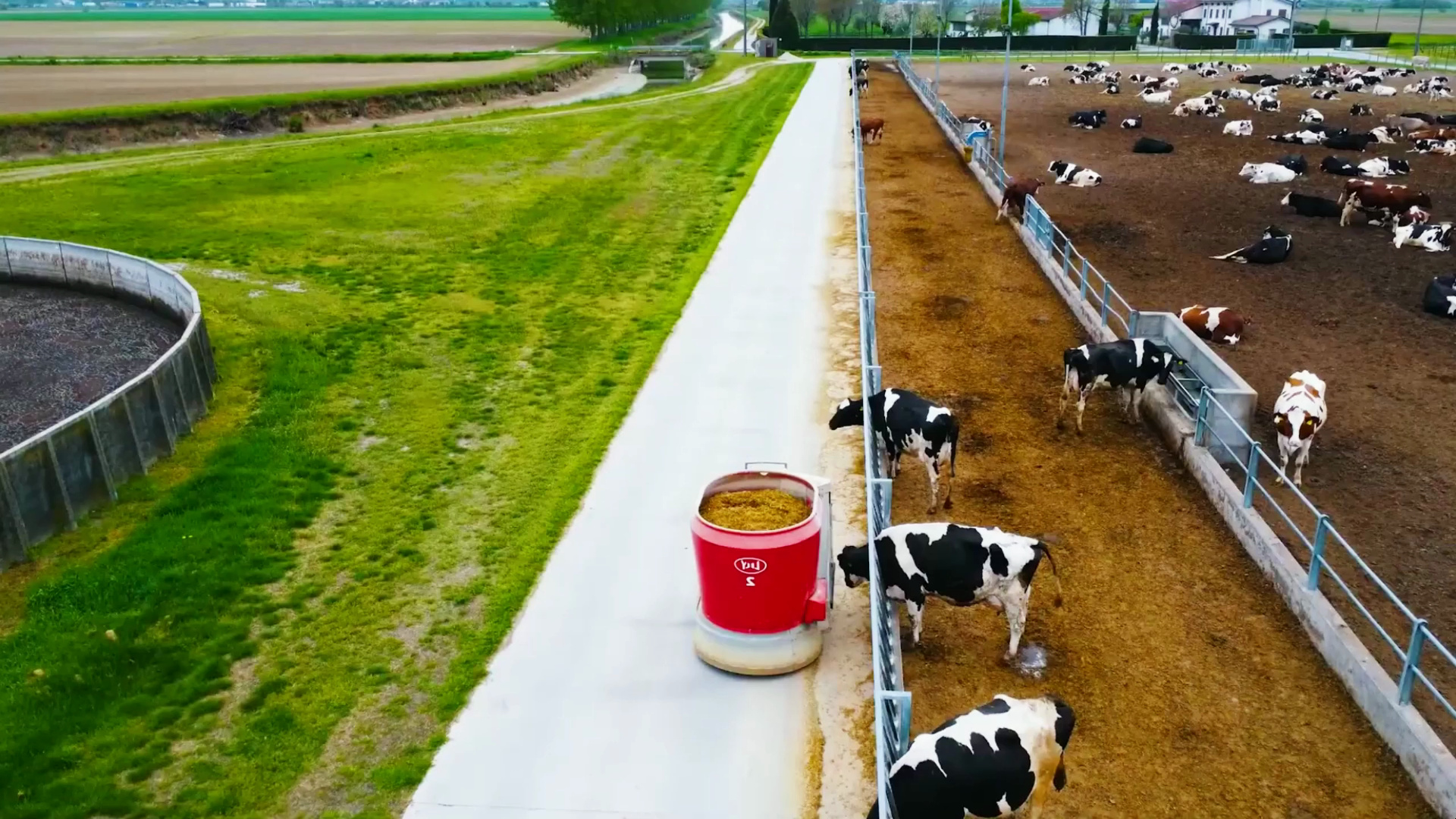 荷兰智能化奶牛养殖