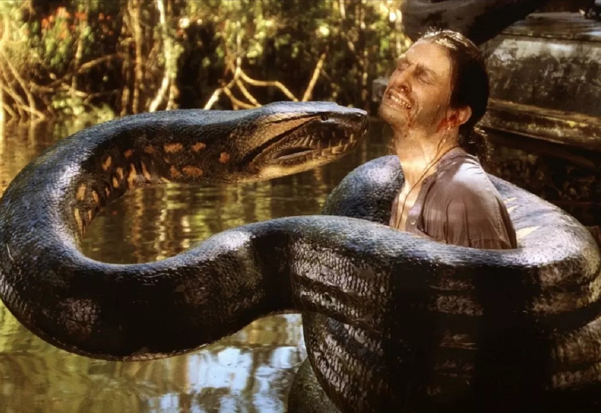 亚马逊巨蟒传说图片