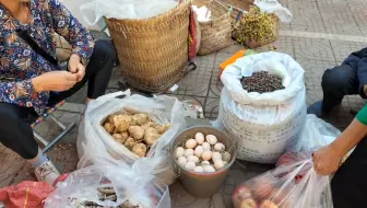 在攀枝花生活有多好？看看街上摆卖的东西有多丰富、有多便宜！