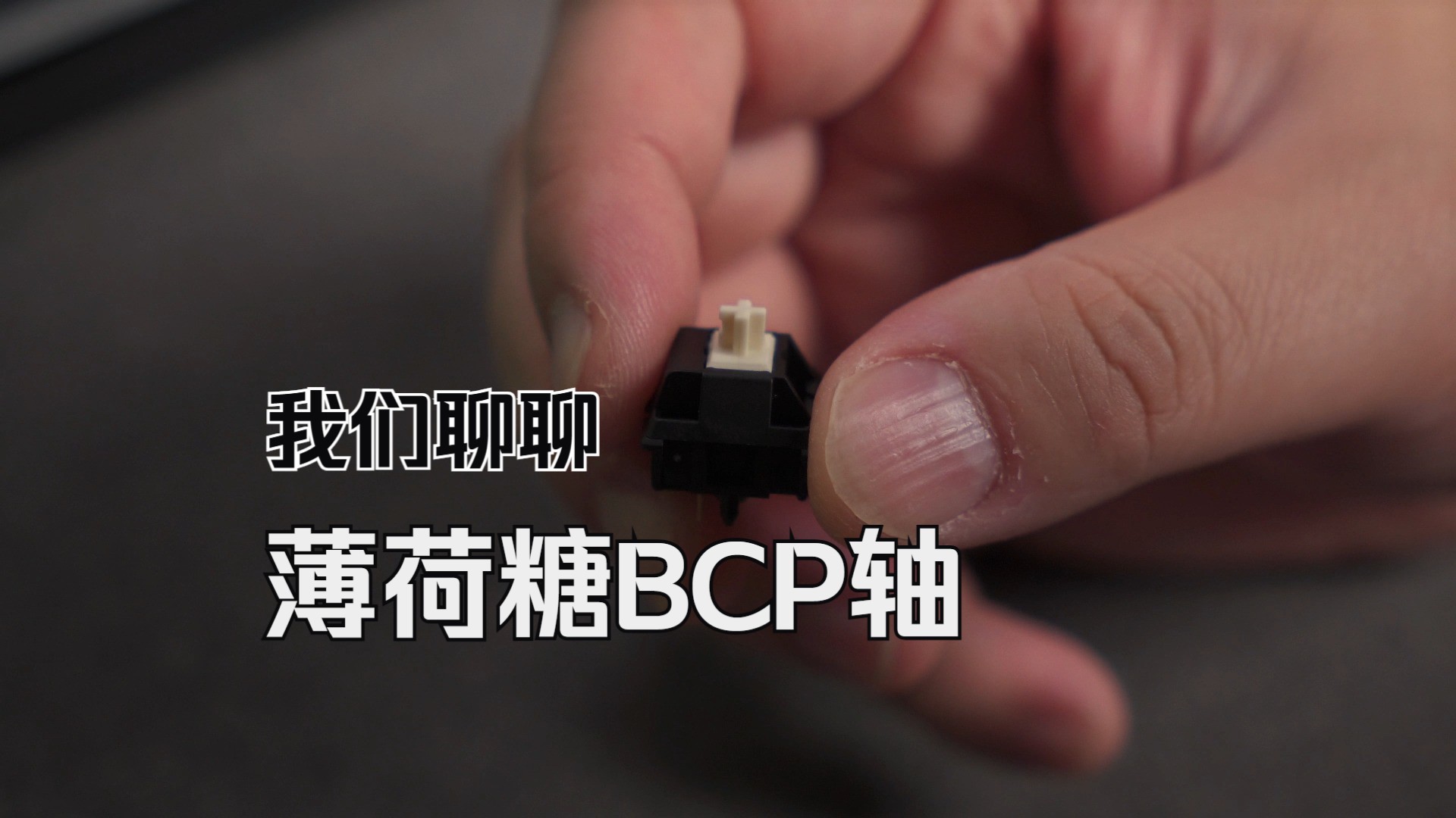 薄荷糖BCP到底是个什么“BCP”?哔哩哔哩bilibili