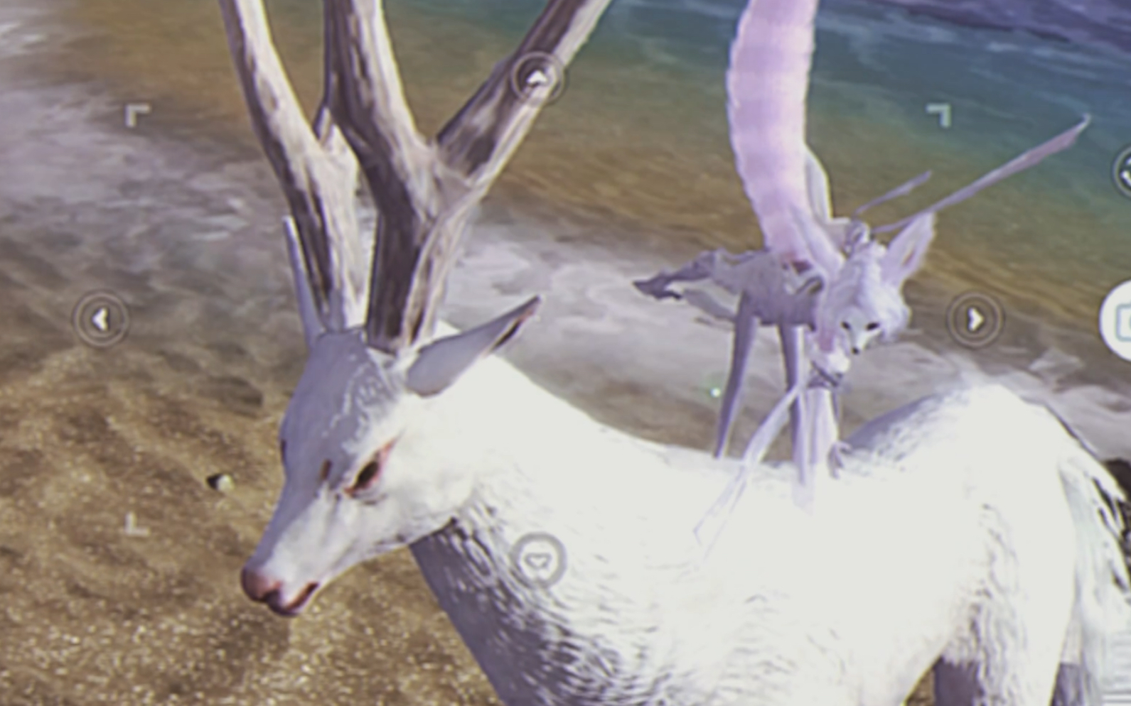 nako原创妄想山海捏脸修炼千年狐狸早期珍贵影像