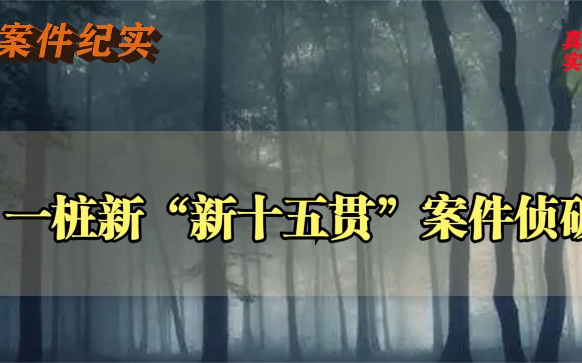 [图]大案纪实——一桩新“新十五贯”案件侦破