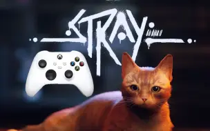 Download Video: 【XSS】赛博猫猫模拟器！《迷失/Stray》| 实机体验