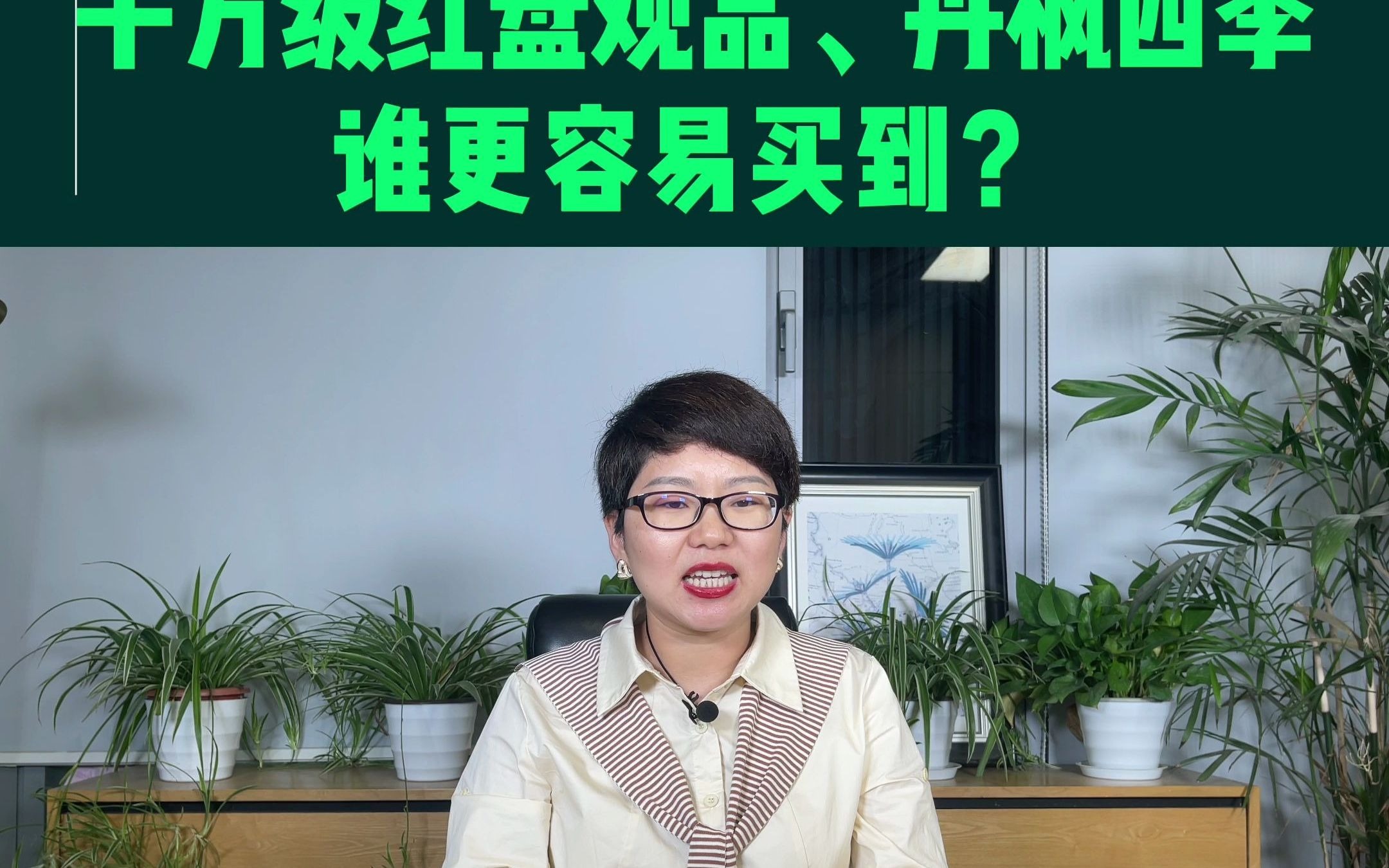 千万级红盘观品、丹枫四季,怎么选?要做好社保5年以上的准备#杭州买房#红盘#奥体#滨江#观品#丹枫四季#中签率哔哩哔哩bilibili