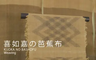 芭蕉布 搜索结果 哔哩哔哩 Bilibili