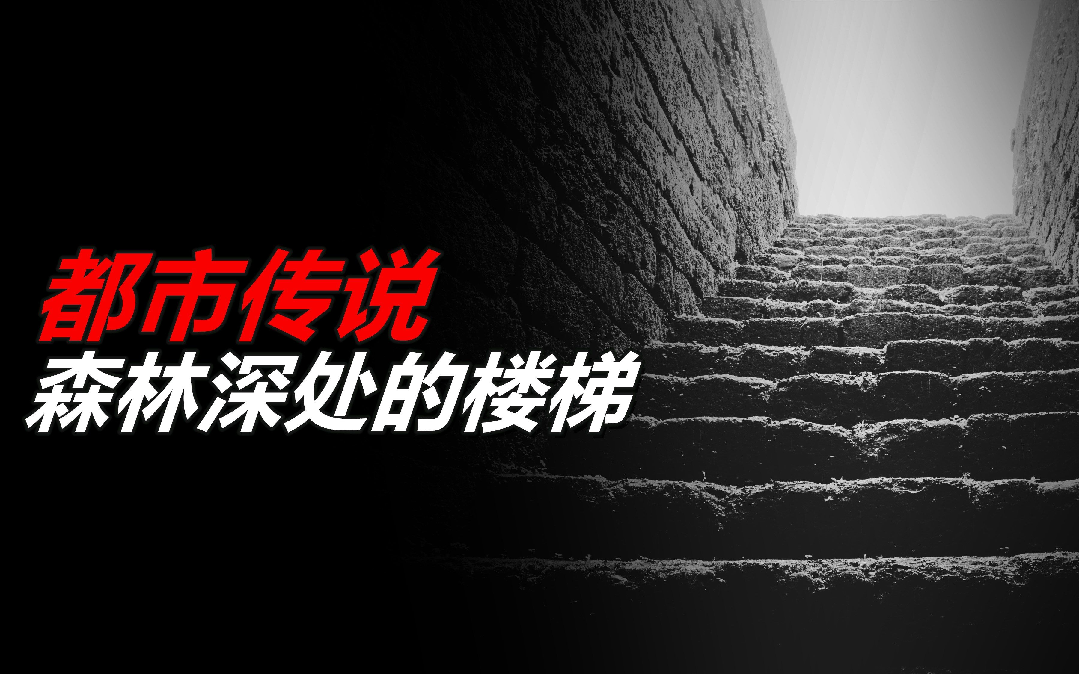 一篇文章,记录了搜救队员在森林深处发现的诡异楼梯